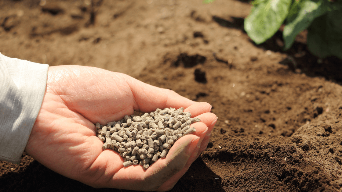 businesses-card-03-1