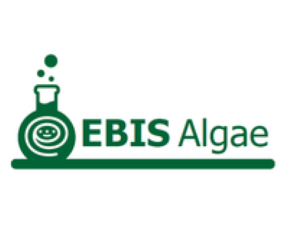 ebisalgae