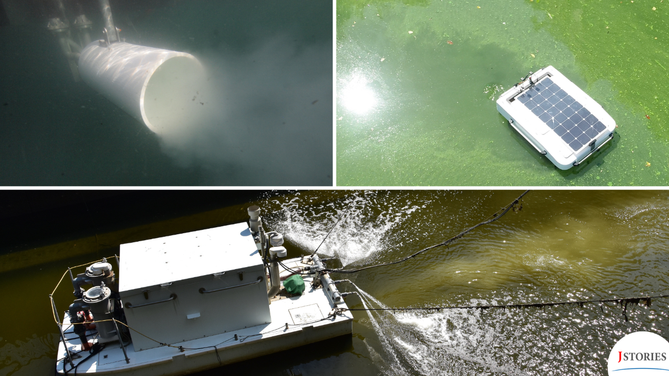 当社とエビスマリン株式会社との取り組みがソリューションメディア「J-STORIES」に掲載されました。