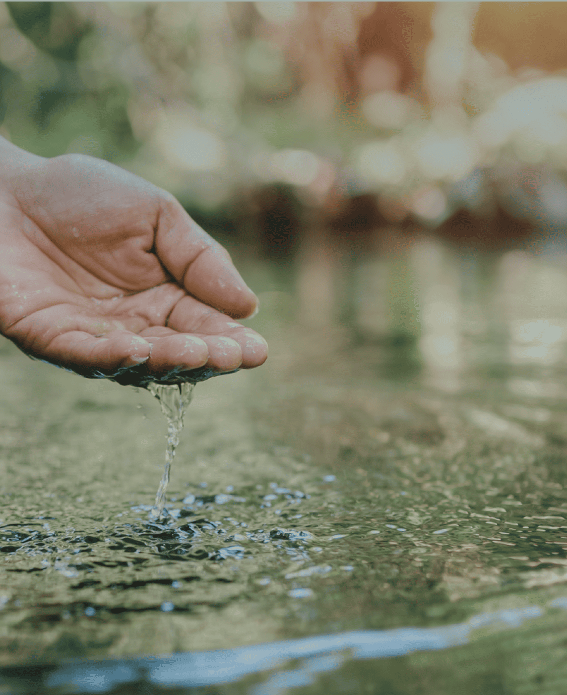 水からはじまる、持続可能な未来